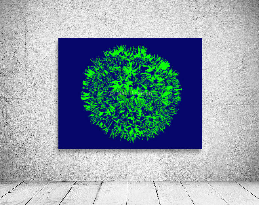 Flarer 9 Wall Preview