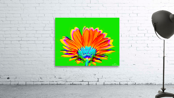 Geraisy 7 Wall Preview