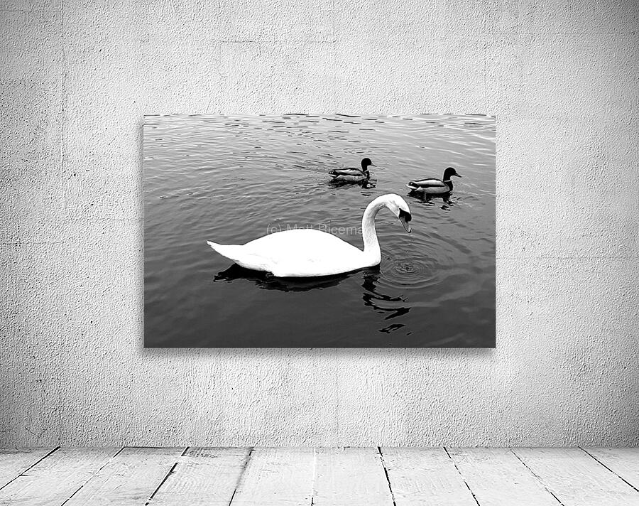 Sefton 1 Wall Preview