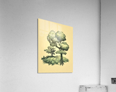 great american forest Acrylic Print