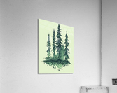 fir forest in the USA Acrylic Print