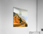 turtles Acrylic Print