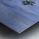 meditationgarden Metal print