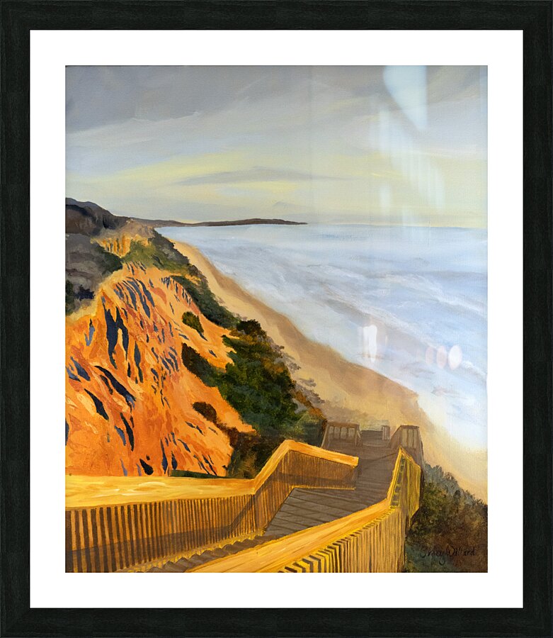 turtles Picture Frame print