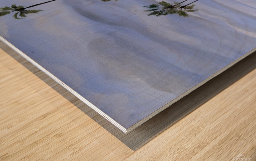 meditationgarden Wood print