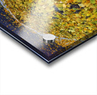 Autumn 1  Acrylic print
