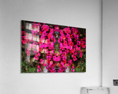 flower 29  Acrylic Print