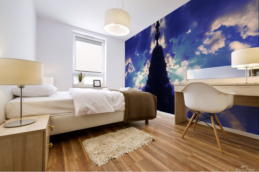 Sky 17 Mural print