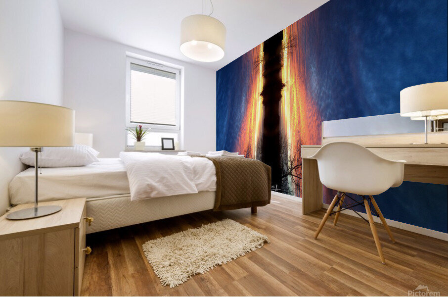 Lanscape 11 Mural print