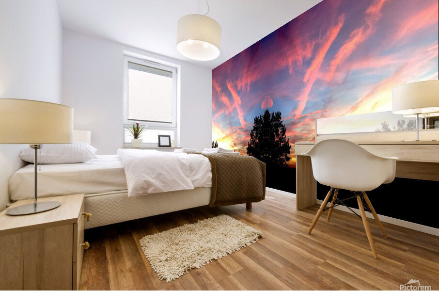 Cloud 58 Mural print