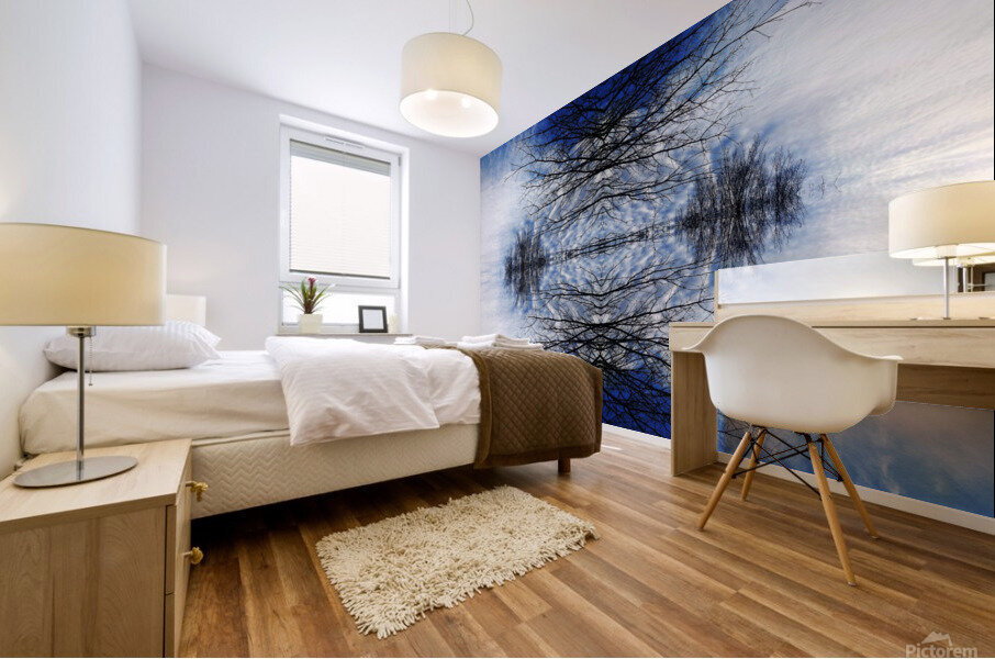 Cloudes 102 Mural print