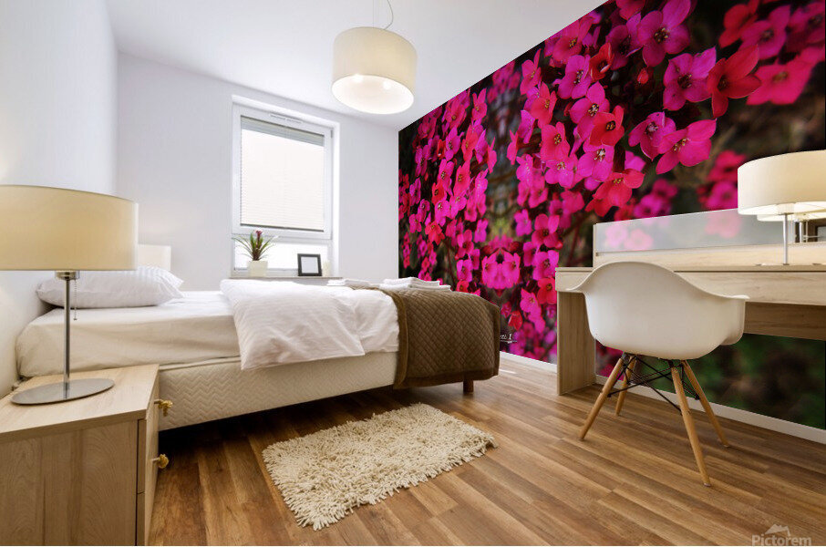 flower 29  Mural print