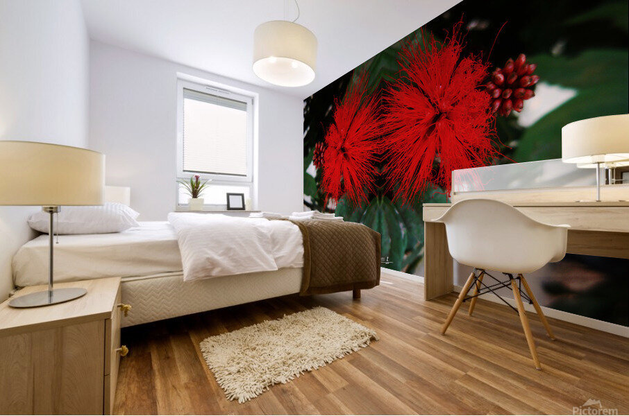 flower 51  Mural print