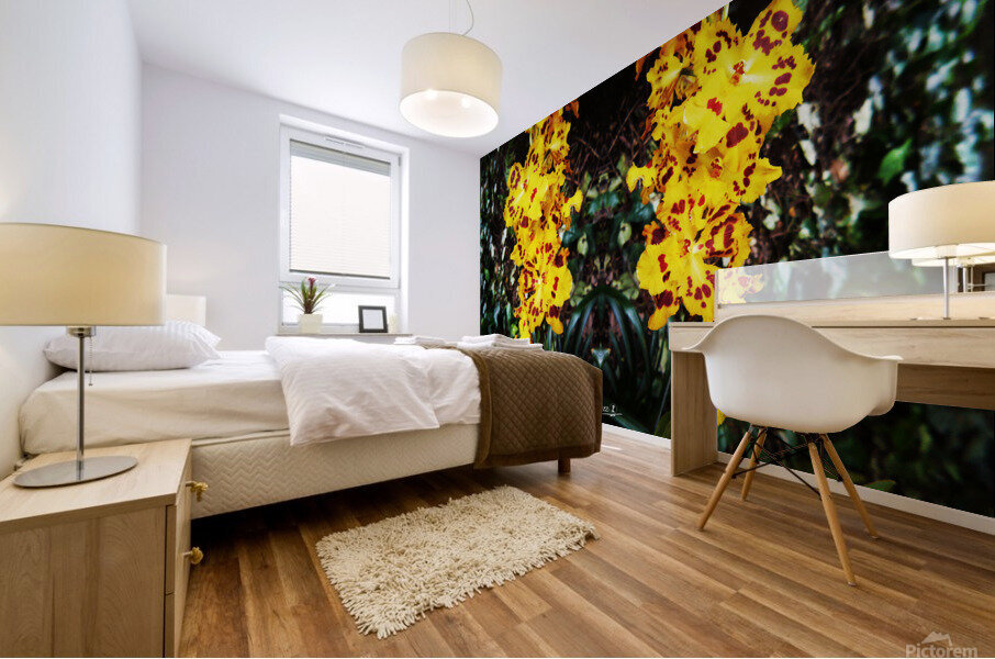 flower 55  Mural print