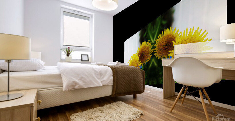 flower 76  Mural print