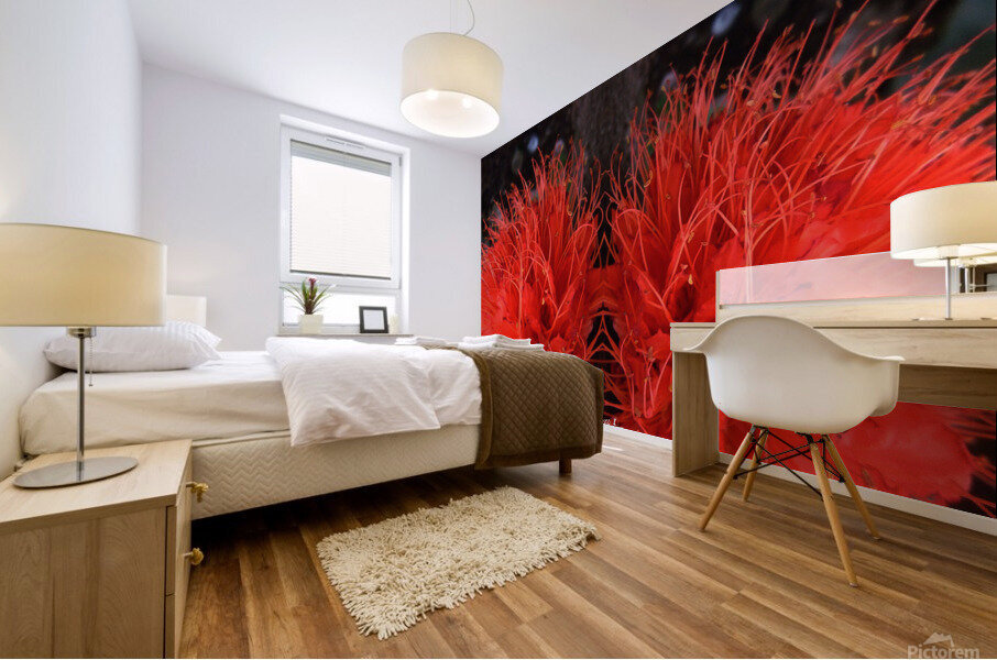flower 81  Mural print