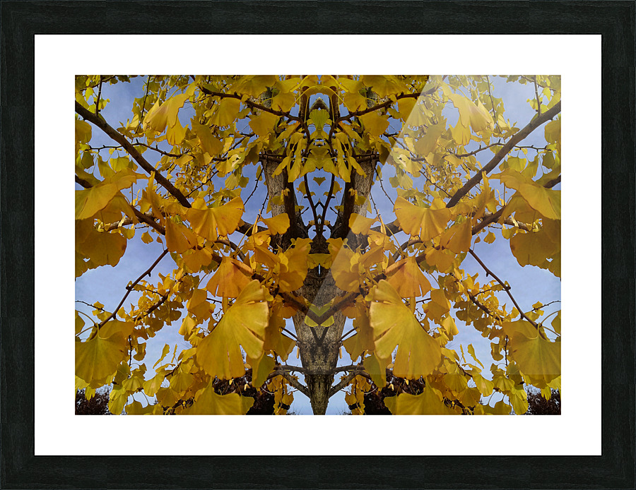 Autumn 3  Picture Frame print