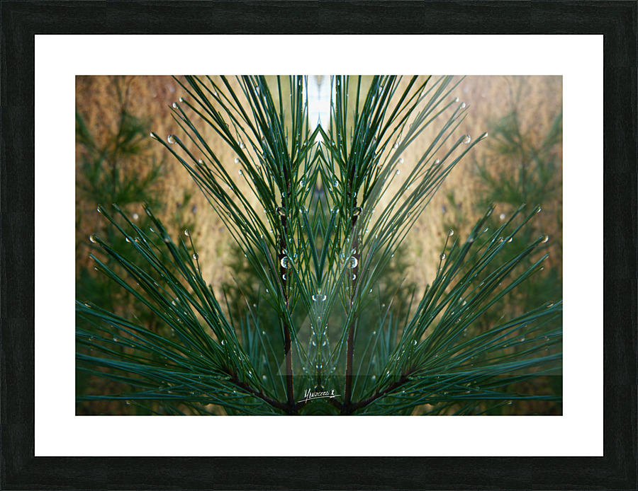 Dewgreen 3  Picture Frame print