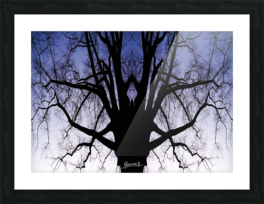 tree 19  Picture Frame print
