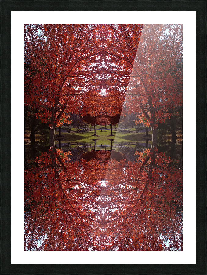 Tree 1 Picture Frame print