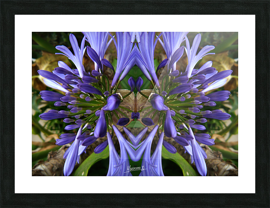 flower 3  Picture Frame print