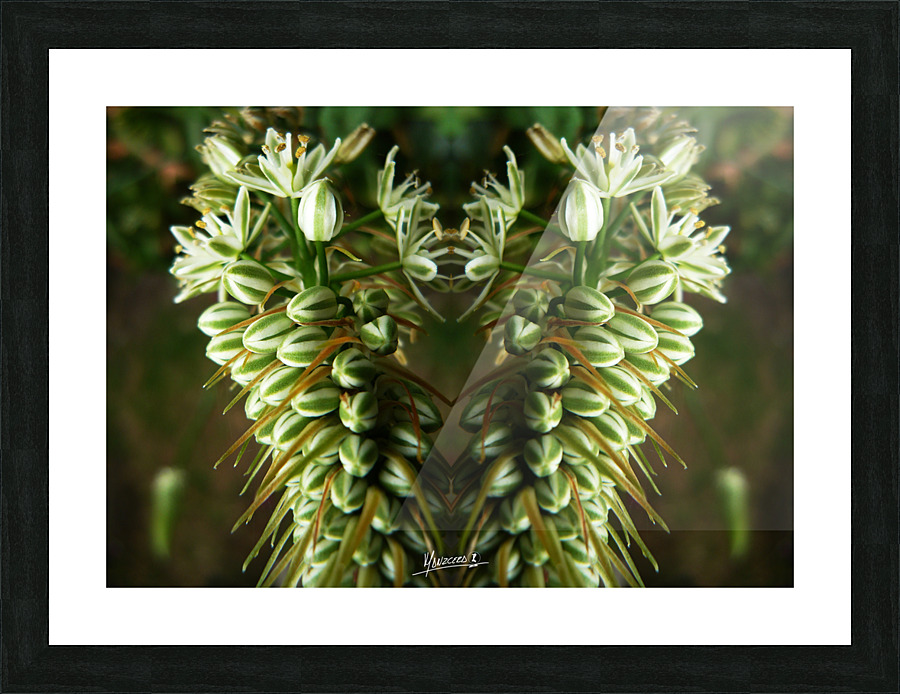 flower 9  Picture Frame print