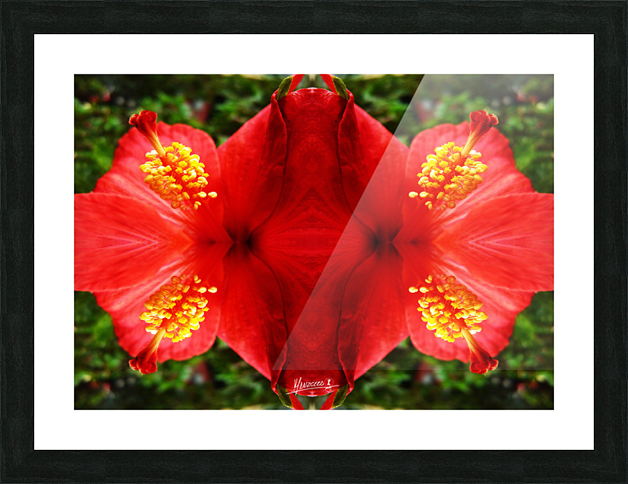 flower 20  Picture Frame print
