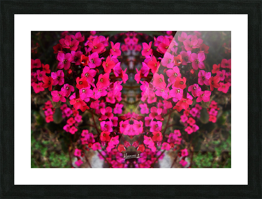 flower 29  Picture Frame print