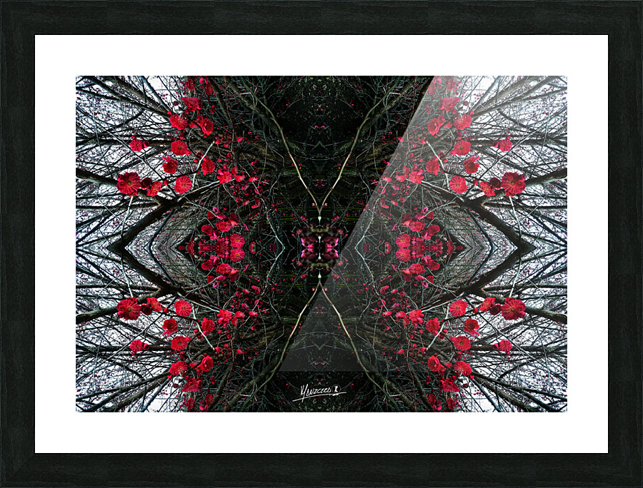 Flower 47  Picture Frame print