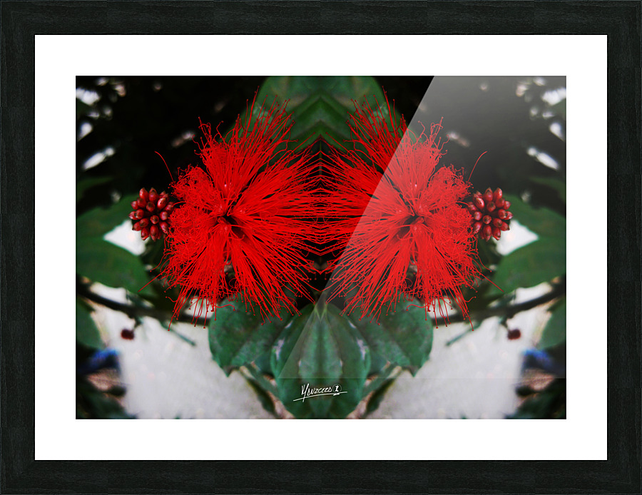 flower 51  Picture Frame print