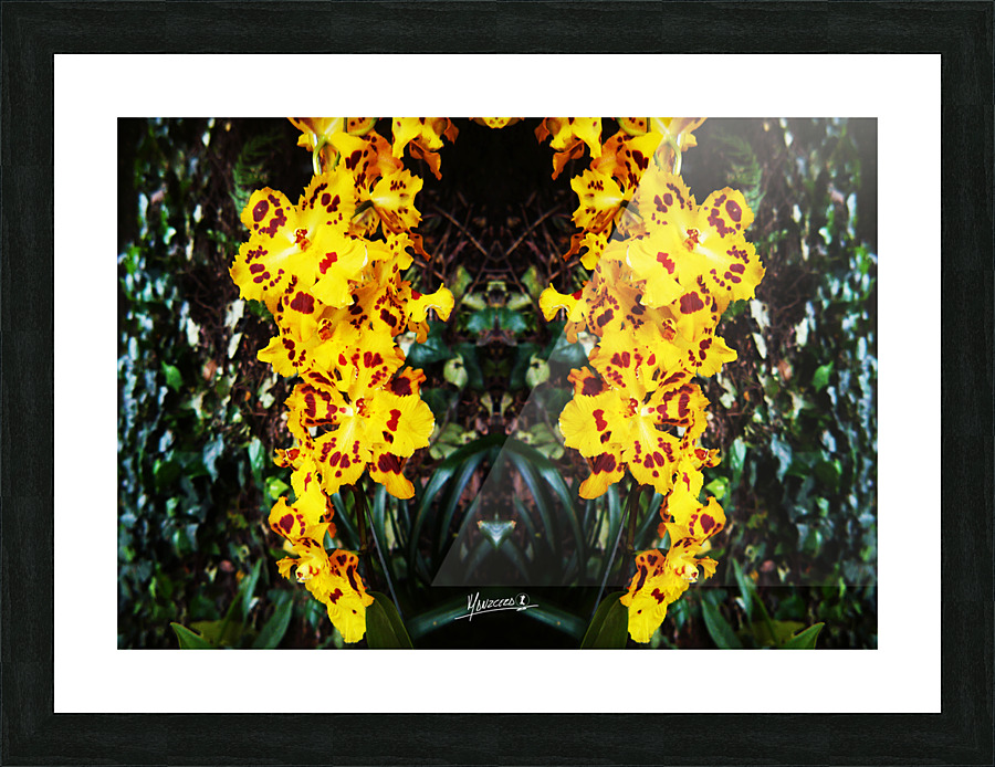 flower 55  Picture Frame print