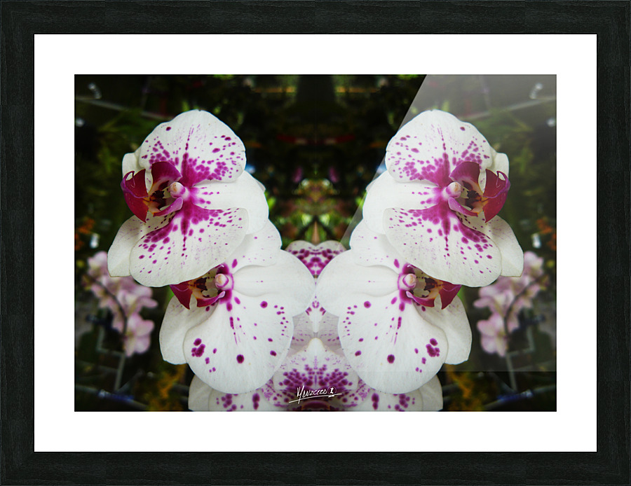 flower 62  Picture Frame print