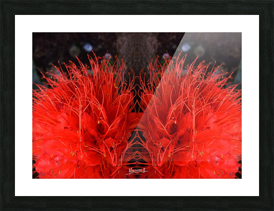 flower 81  Picture Frame print