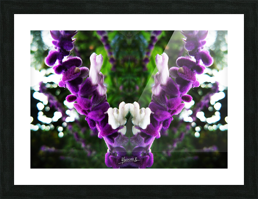 flower 89  Picture Frame print