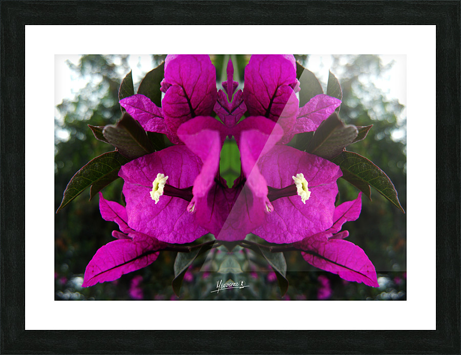 flower 90  Picture Frame print