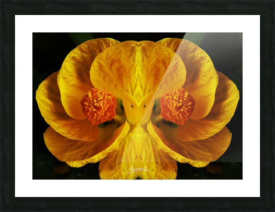 flower 91  Picture Frame print