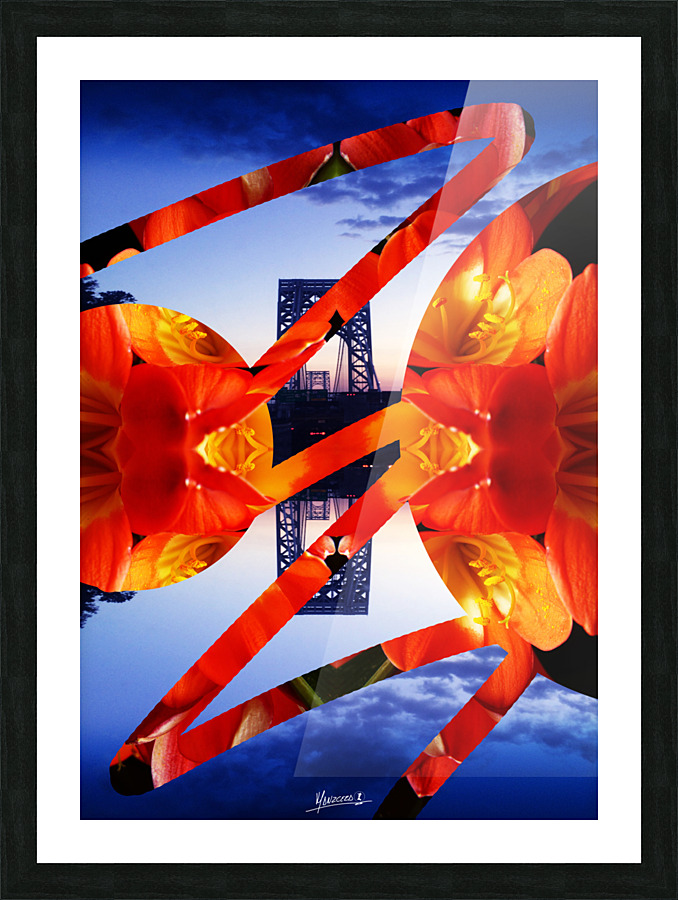 Collage 1  Picture Frame print