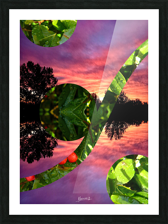 Nature 7  Picture Frame print
