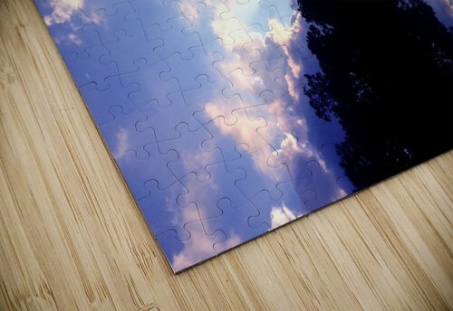 Sky 17 Carlos Manzcera puzzle