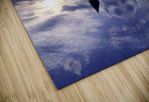 blue 10 Carlos Manzcera puzzle