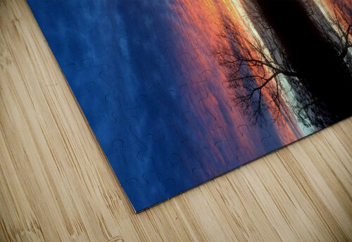 Lanscape 11 Carlos Manzcera puzzle