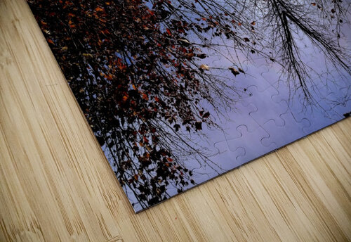 Cloud 57 Carlos Manzcera puzzle