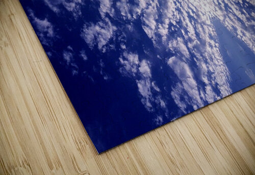 Skys 17 Carlos Manzcera puzzle