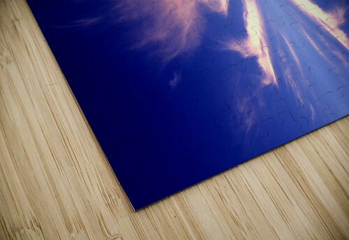 Skys 18 Carlos Manzcera puzzle
