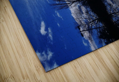 Cloudes 87 Carlos Manzcera puzzle