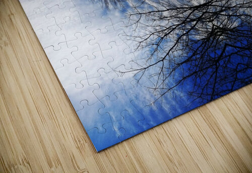 Cloudes 102 Carlos Manzcera puzzle
