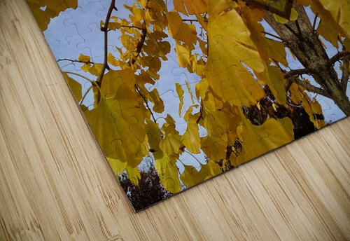 Autumn 3  Carlos Manzcera puzzle