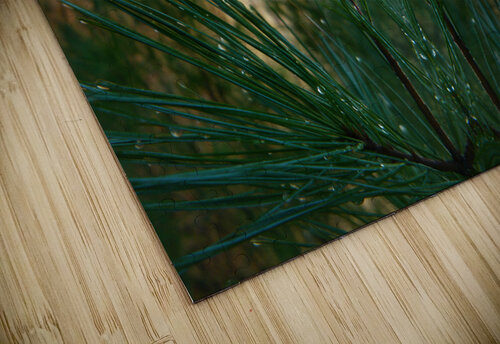 Dewgreen 3  Carlos Manzcera puzzle