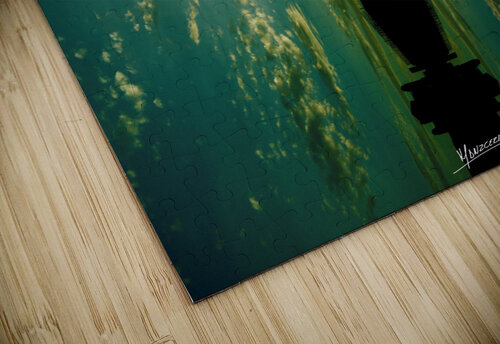 sky 203  Carlos Manzcera puzzle
