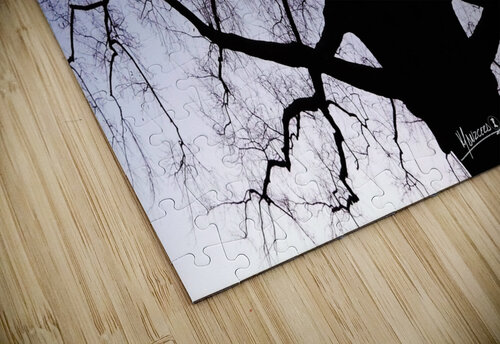 tree 19  Carlos Manzcera puzzle